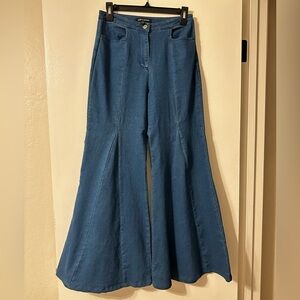 Wide-Leg Flare Denim Jeans